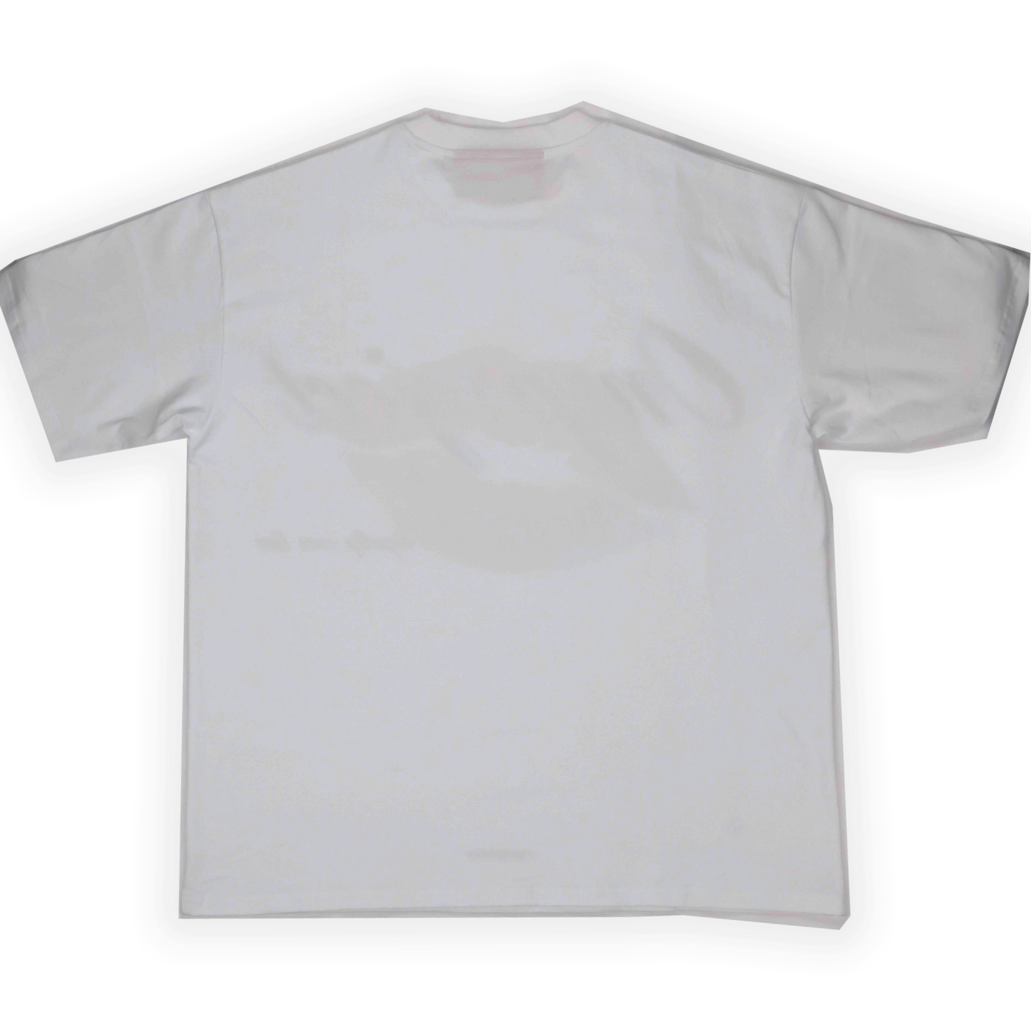"I DONT WANT YOUR KISS" TEE